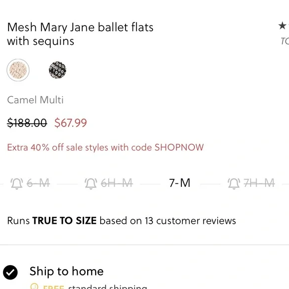 🪸 J. Crew 🪸 NWB Cream Mesh Mary Jane ballet flats with sequins Camel Multi 7-H M